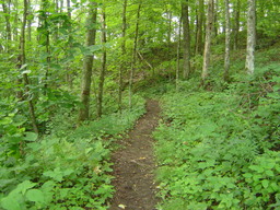 Album: Appalachian Trail 2005